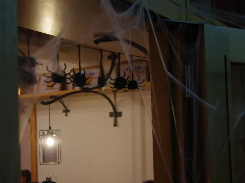 Halloween Holendr (2024) - foto 6